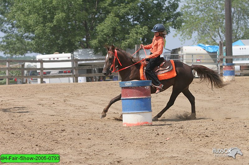 4H-Fair-Show-2005-0793.jpg