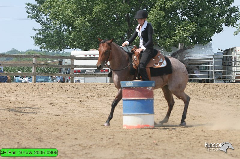 4H-Fair-Show-2005-0905.jpg