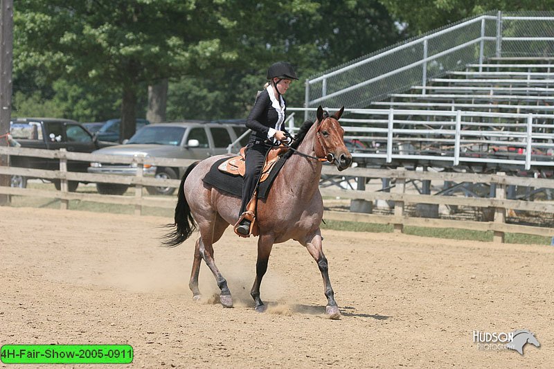 4H-Fair-Show-2005-0911.jpg