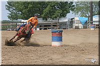 4H-Fair-Show-2005-0602.jpg