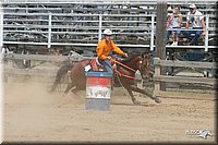 4H-Fair-Show-2005-0608.jpg