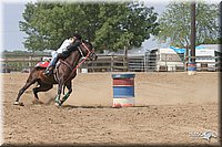 4H-Fair-Show-2005-0807.jpg