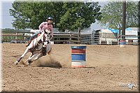 4H-Fair-Show-2005-0831.jpg