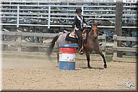 4H-Fair-Show-2005-0908.jpg