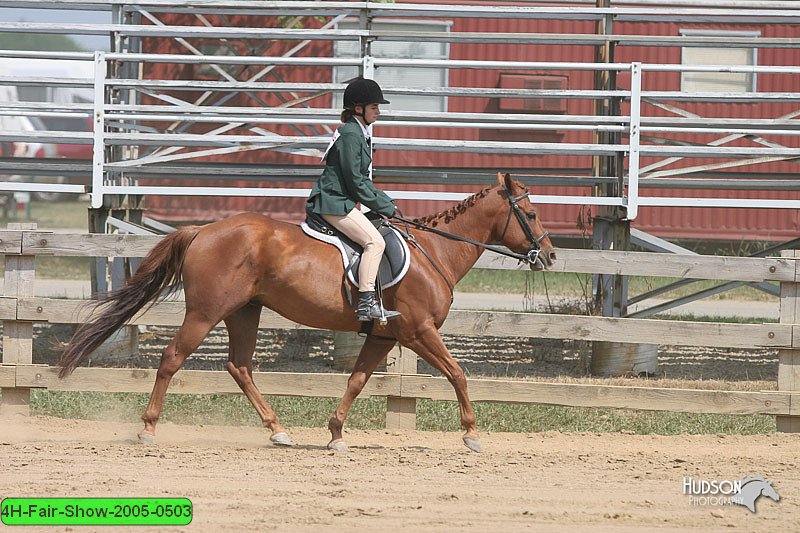 4H-Fair-Show-2005-0503.jpg