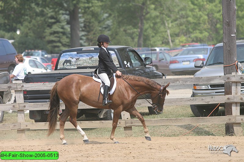 4H-Fair-Show-2005-0513.jpg