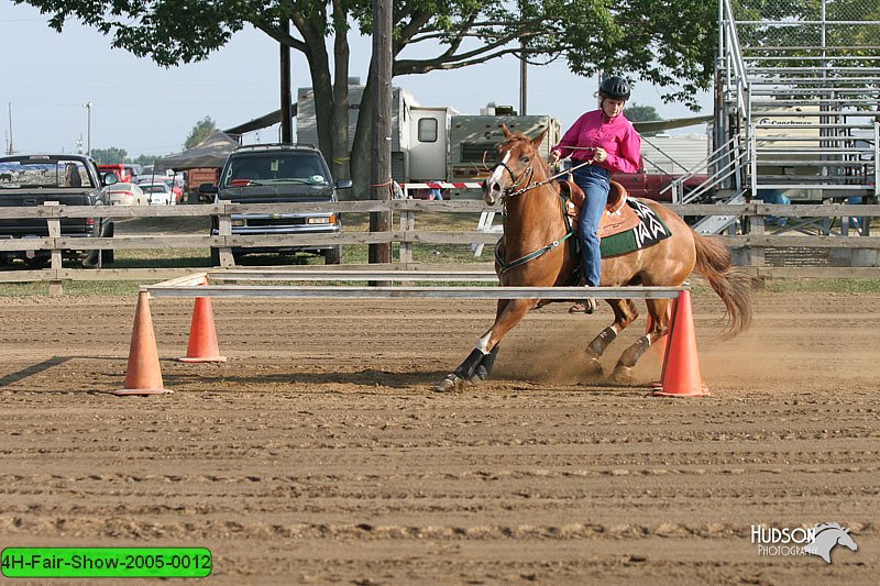 4H-Fair-Show-2005-0012.jpg