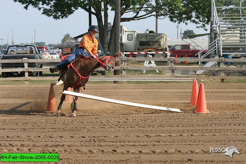 4H-Fair-Show-2005-0029.jpg