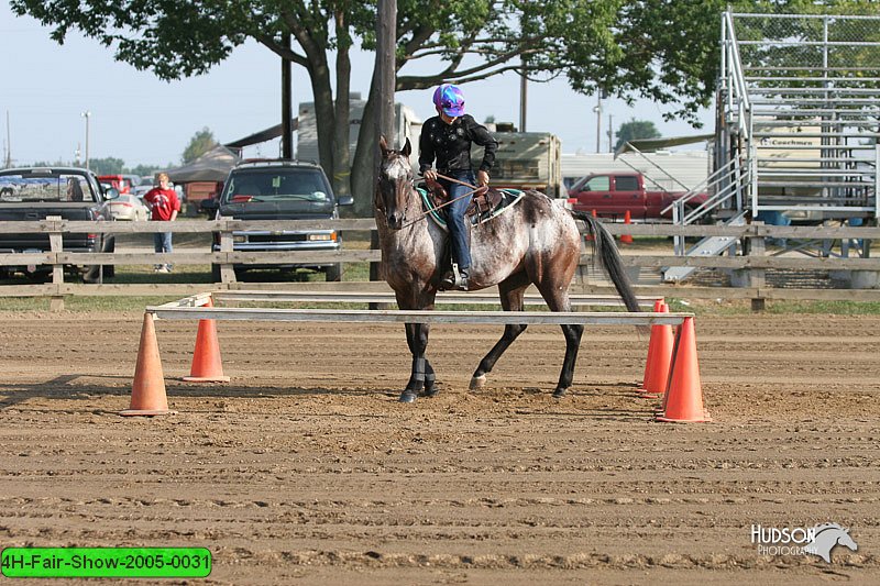 4H-Fair-Show-2005-0031.jpg