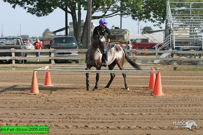 4H-Fair-Show-2005-0032.jpg