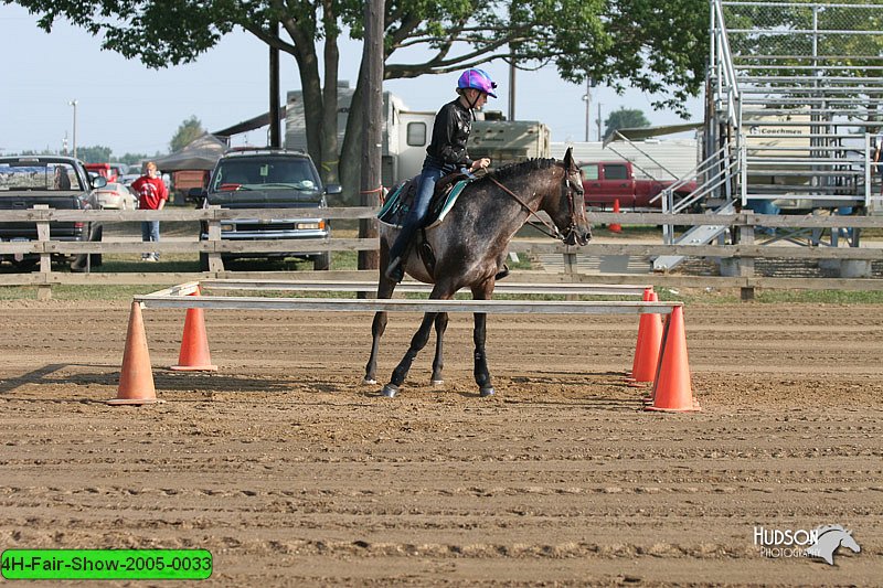4H-Fair-Show-2005-0033.jpg