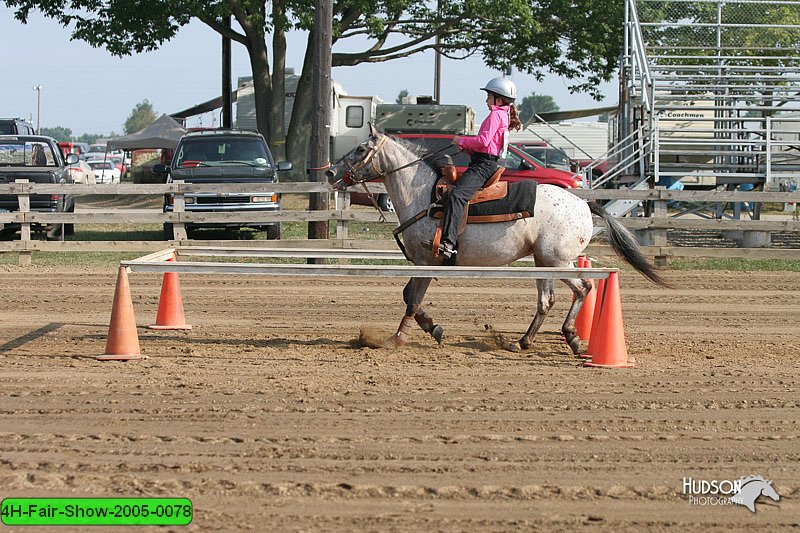 4H-Fair-Show-2005-0078.jpg