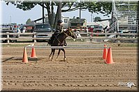 4H-Fair-Show-2005-0060.jpg