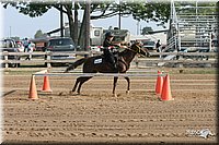 4H-Fair-Show-2005-0062.jpg