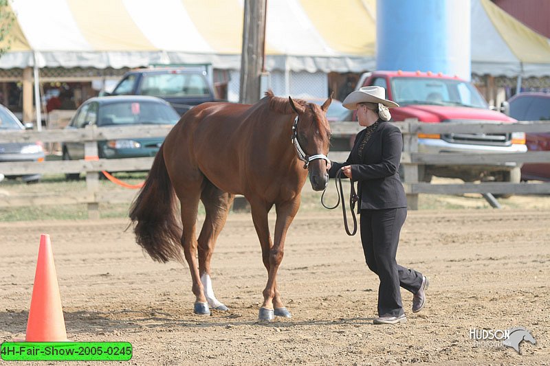 4H-Fair-Show-2005-0245.jpg