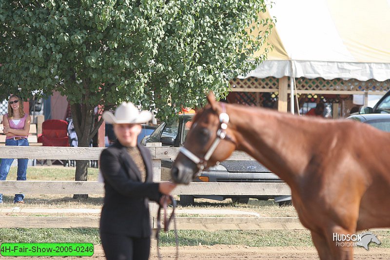 4H-Fair-Show-2005-0246.jpg