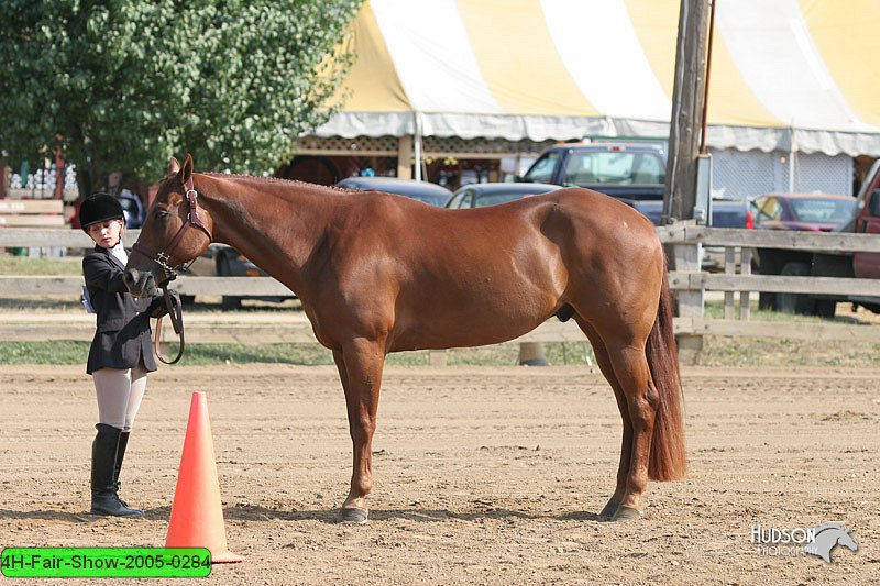 4H-Fair-Show-2005-0284.jpg