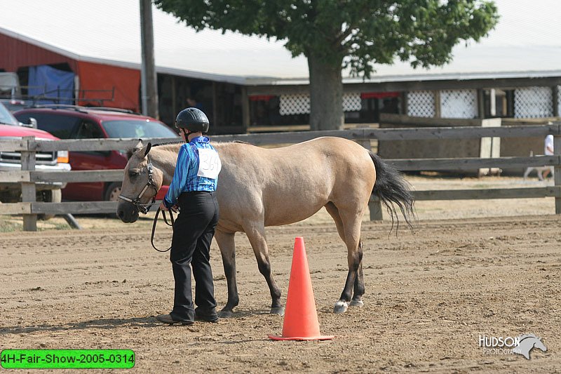 4H-Fair-Show-2005-0314.jpg