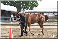 4H-Fair-Show-2005-0240.jpg