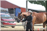 4H-Fair-Show-2005-0241.jpg