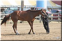 4H-Fair-Show-2005-0242.jpg