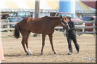 4H-Fair-Show-2005-0243.jpg