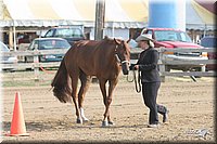 4H-Fair-Show-2005-0245.jpg