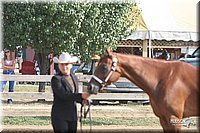 4H-Fair-Show-2005-0246.jpg