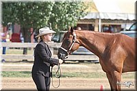 4H-Fair-Show-2005-0247.jpg