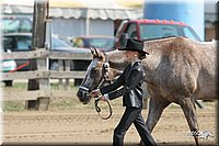 4H-Fair-Show-2005-0267.jpg