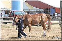 4H-Fair-Show-2005-0299.jpg