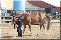 4H-Fair-Show-2005-0300.jpg