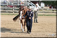 4H-Fair-Show-2005-0304.jpg