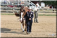 4H-Fair-Show-2005-0305.jpg