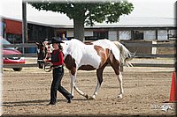 4H-Fair-Show-2005-0307.jpg