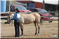 4H-Fair-Show-2005-0316.jpg