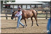 4H-Fair-Show-2005-0323.jpg