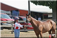 4H-Fair-Show-2005-0324.jpg