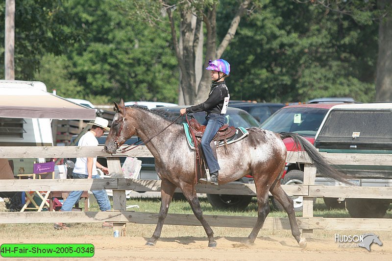 4H-Fair-Show-2005-0348.jpg