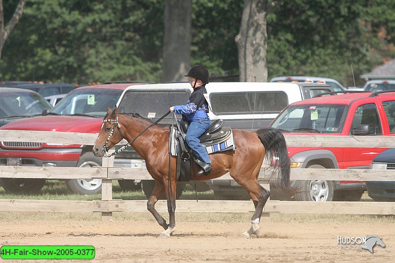 4H-Fair-Show-2005-0377.jpg