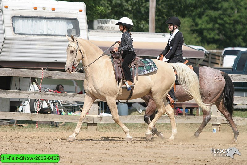 4H-Fair-Show-2005-0427.jpg