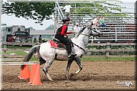 4H-Fun-Show-2005-0547.jpg