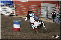 4H-State-Show-2005-0225.jpg