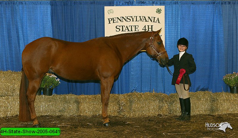 4H-State-Show-2005-0641.jpg