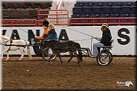 4H-State-Show-2005-0017.jpg