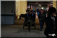 4H-State-Show-2005-0021.jpg