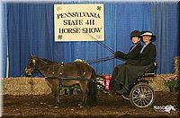 4H-State-Show-2005-0028.jpg