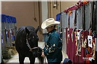 4H-State-Show-2005-0051.jpg