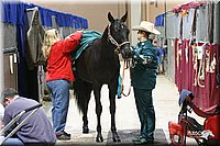 4H-State-Show-2005-0054.jpg