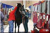 4H-State-Show-2005-0055.jpg